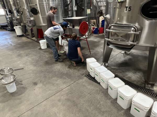 Processing Samples