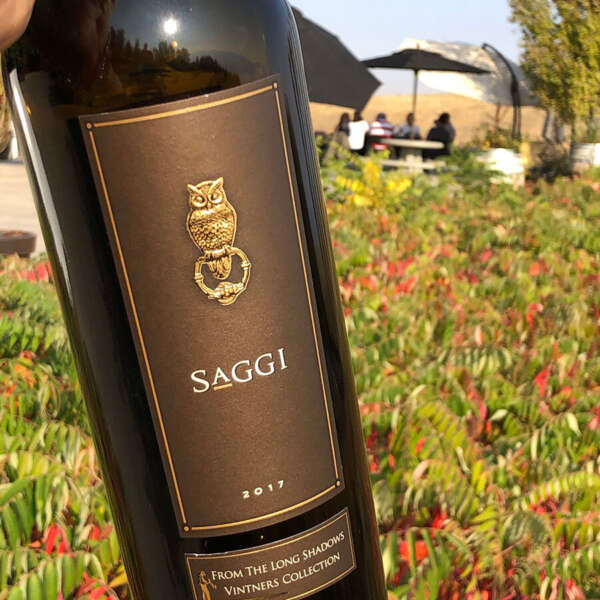Saggi 3