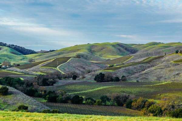 Scenic view of the Napa Valley in California