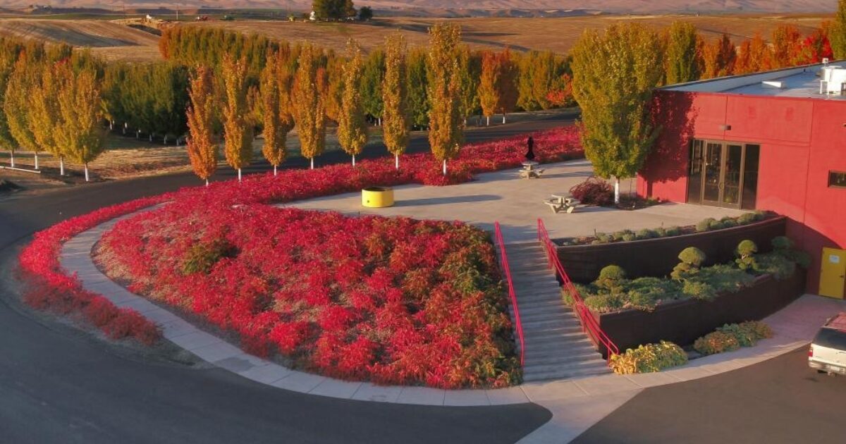 48 Hours in Walla Walla Itinerary - Long Shadows Vintners