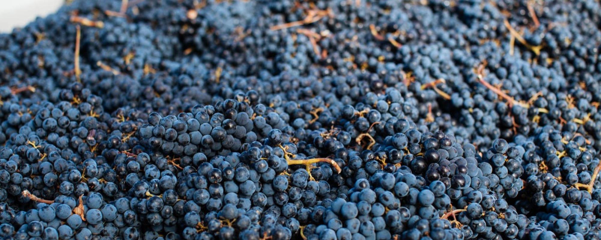 D9a06066a846839191999c40eac75c65f30d0beb