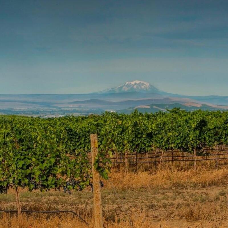 Boushey Mountain
