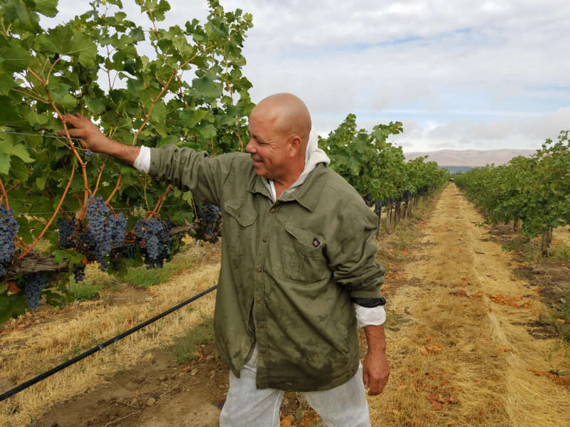Miguel Rodriguez of Weinbau Vineyard