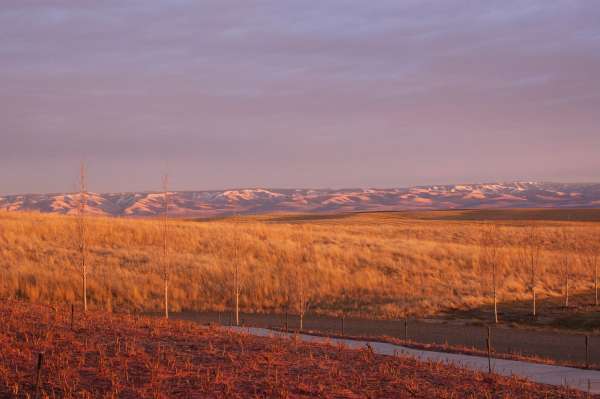 Winter Vista