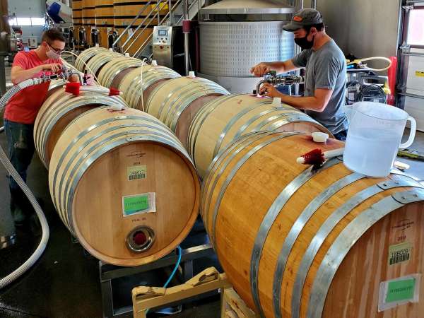 400L French Oak Baron fermenters for Pirouette